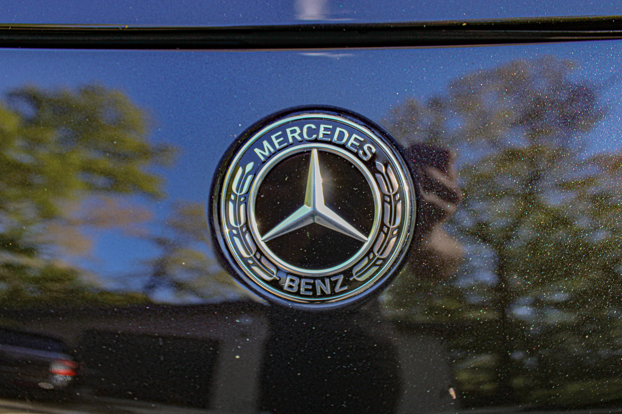 Mercedes-AMG GT - Hood emblem close-up